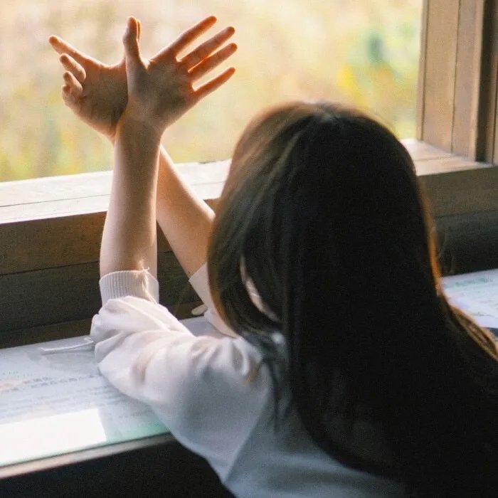 重回91开局制霸小家电市场